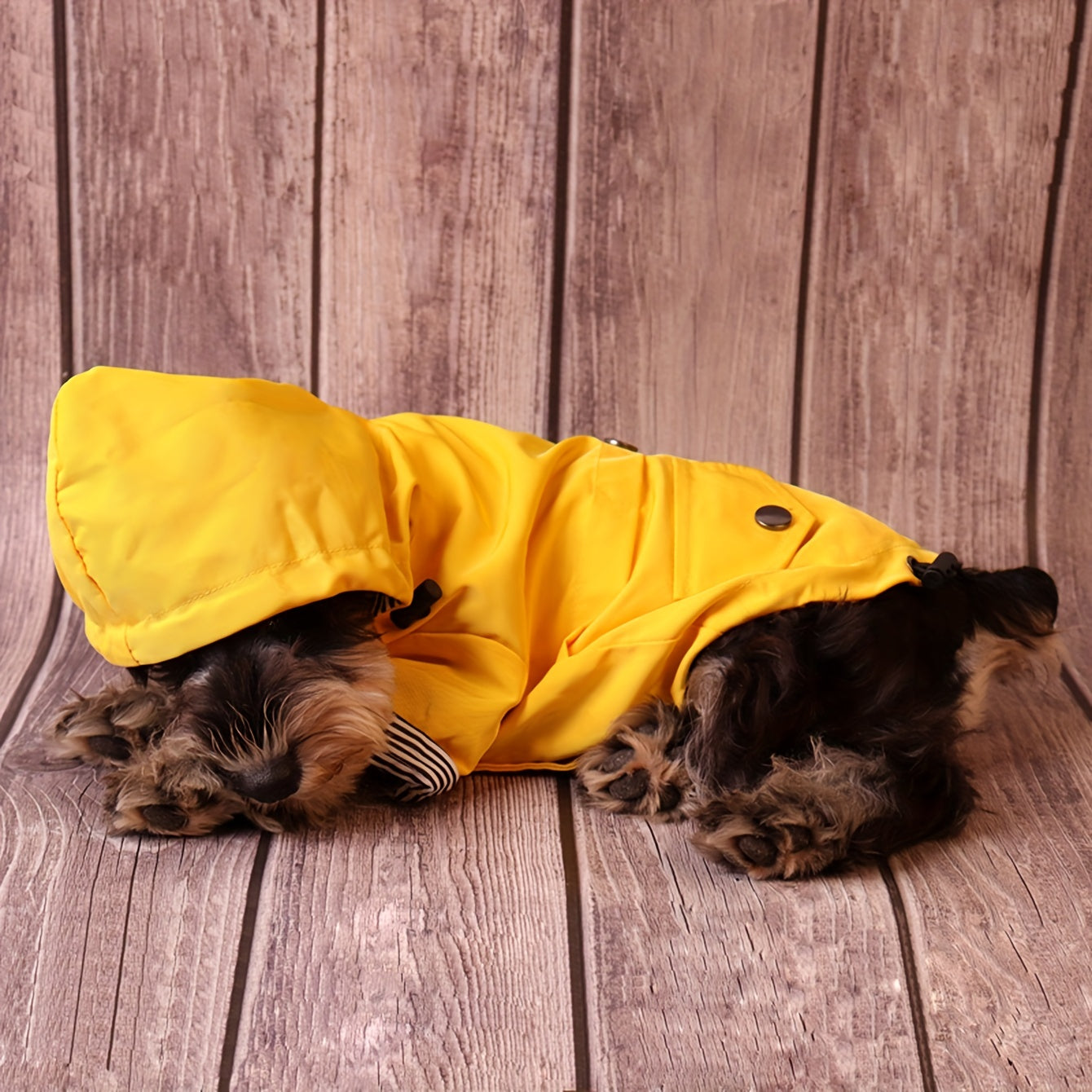 Keep Your Pet Puppy Warm & Dry With This Stylish Striped Rain Jacket! Christmas Gift