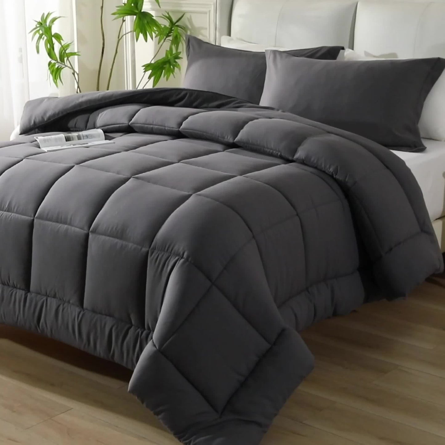 Set di 2/3 trapunte in poliestere pesante per tutte le stagioni con federa per cuscino, inserto trapuntato, coperta con cuciture a scatola, traspirante con morbida imbottitura in microfibra