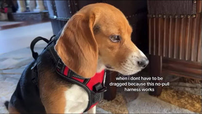 Dog Harness, Reflective No Choke Pet Vest With Front And Back 2 Leash Clips, Soft Padded Dog Harnesses With Easy Control Handle For Training And Walking